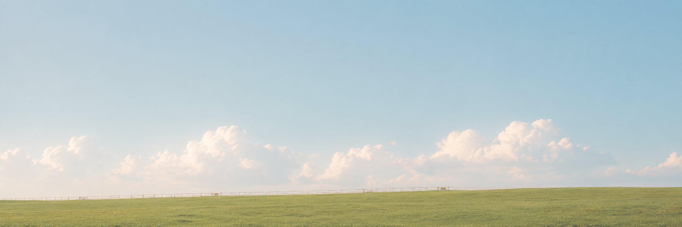 Open field beneath a wide, clouded sky